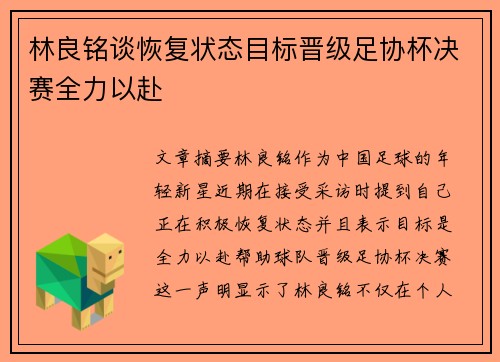 林良铭谈恢复状态目标晋级足协杯决赛全力以赴